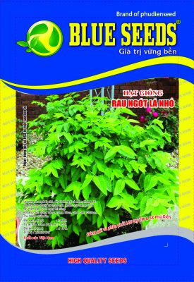 Hạt giống rau ngót lá nhỏ