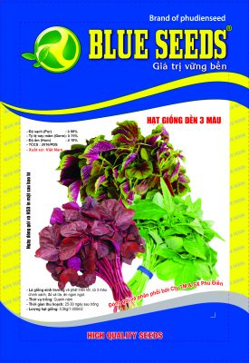 Hạt giống dền 3 màu