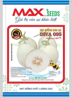 Hạt giống dưa lê F1 DIVA 095