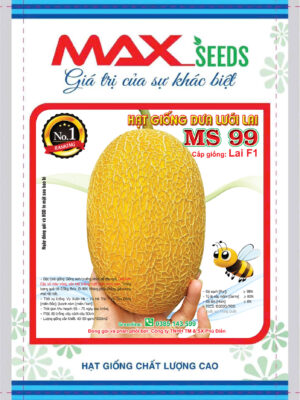 Hạt giống dưa lưới F1 MS 99 (500H)