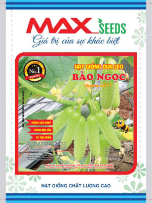 Hạt giống dưa leo Bảo Ngọc F1